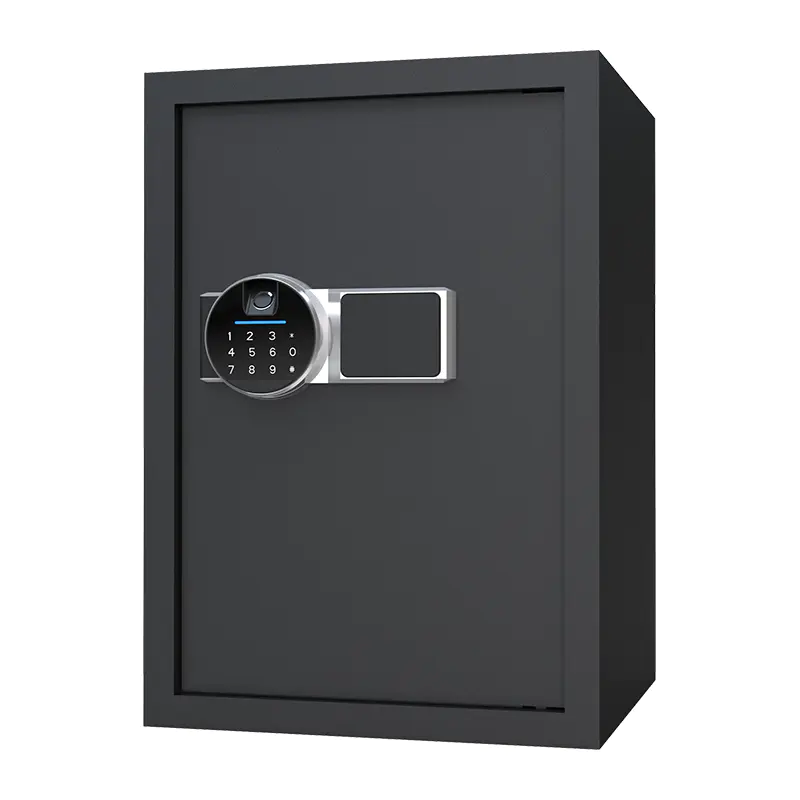 BS0150 48L Biometrický domácí trezor